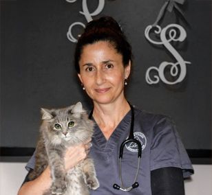 kyra haring with cat