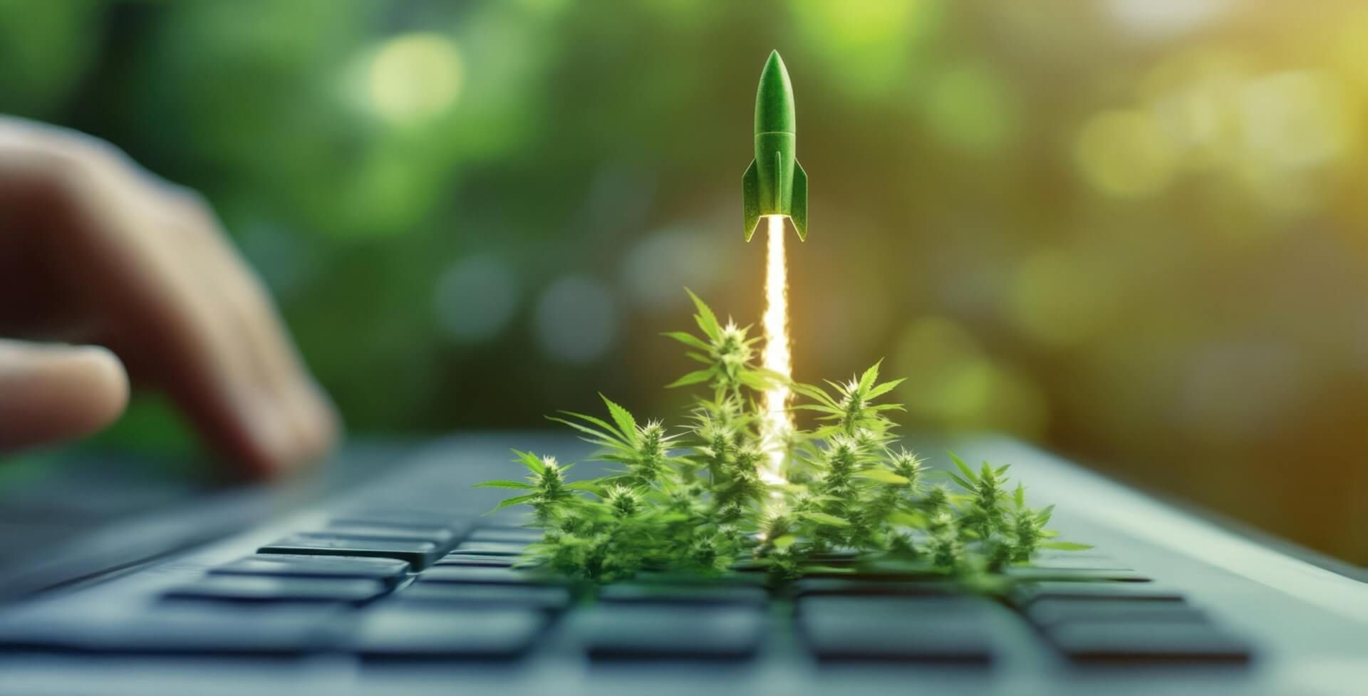 cannabis plant coming out of a keyboard with a rocket on top