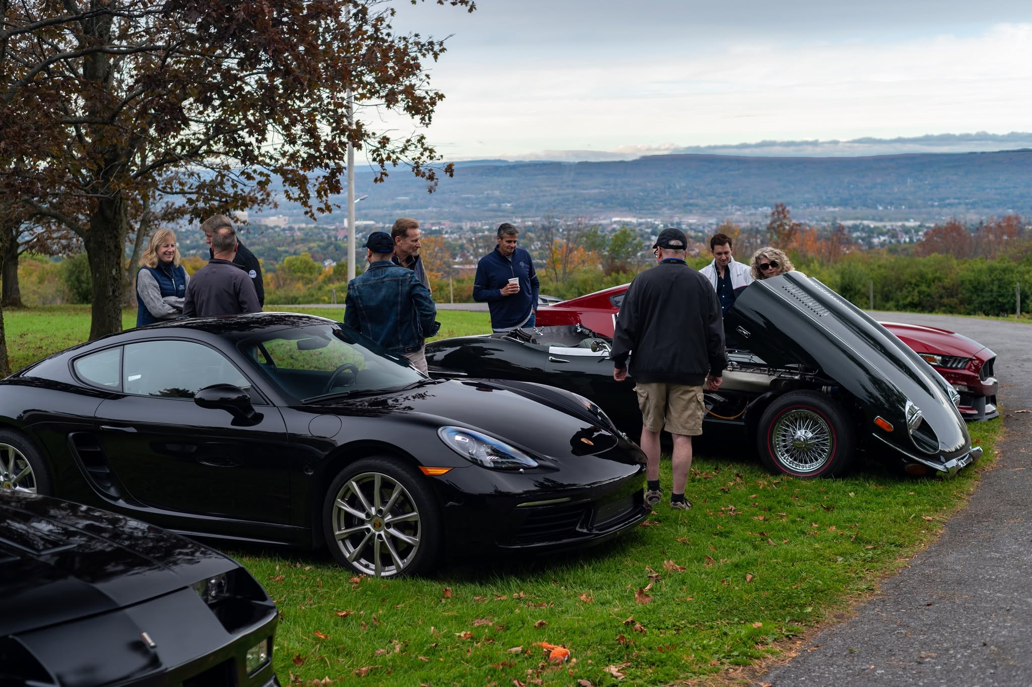 motor club cars