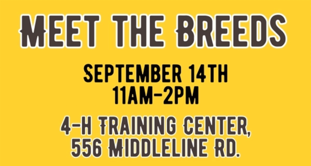 meet the breeds