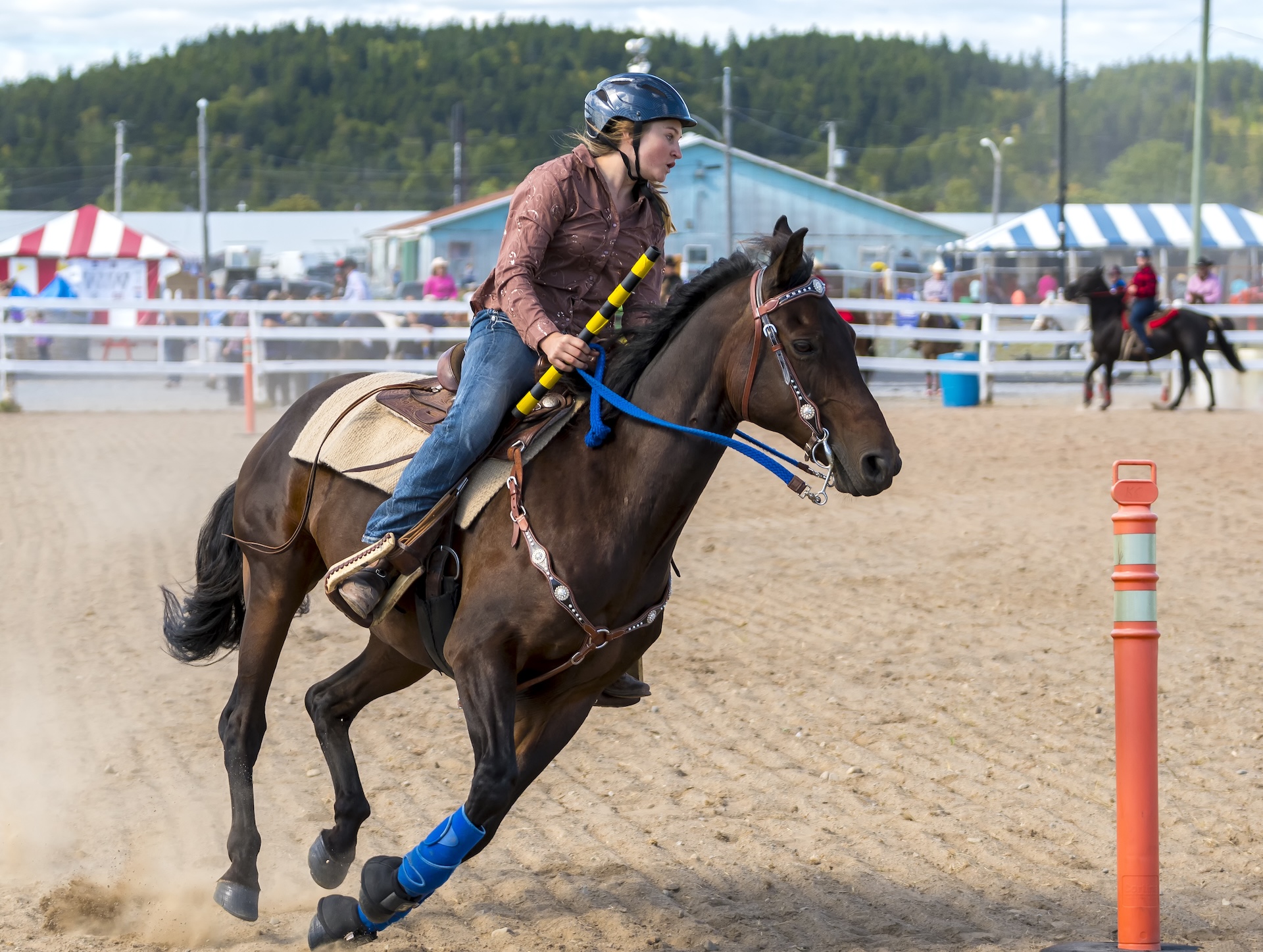 Equestrian Event