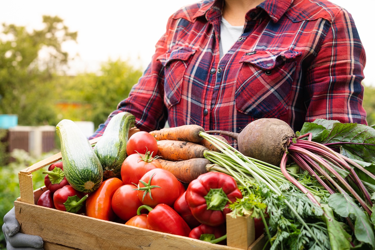 wooden box of organic vegetables
