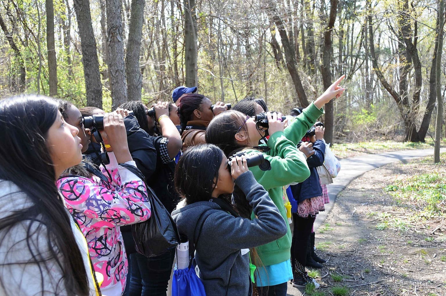 group of children looking at wildlife in the woods