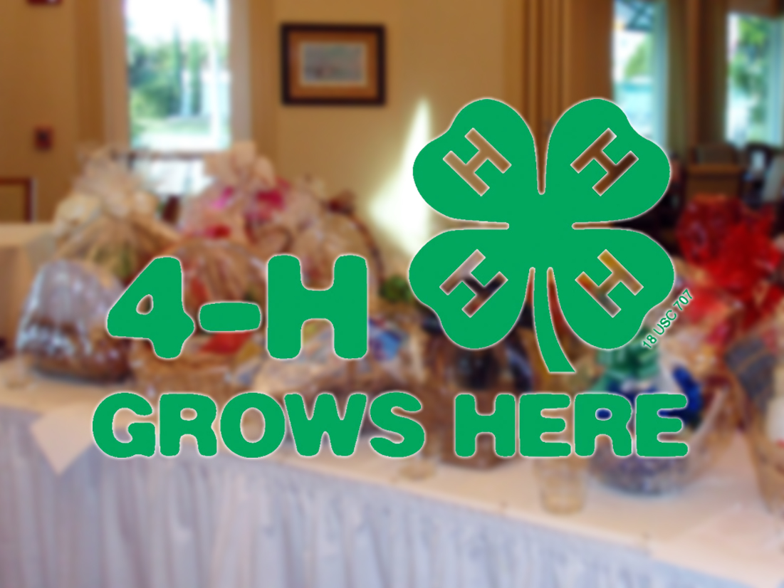 4h