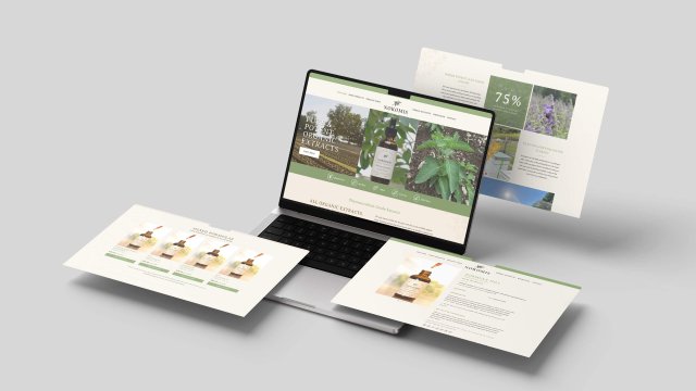 nokomis website mockup