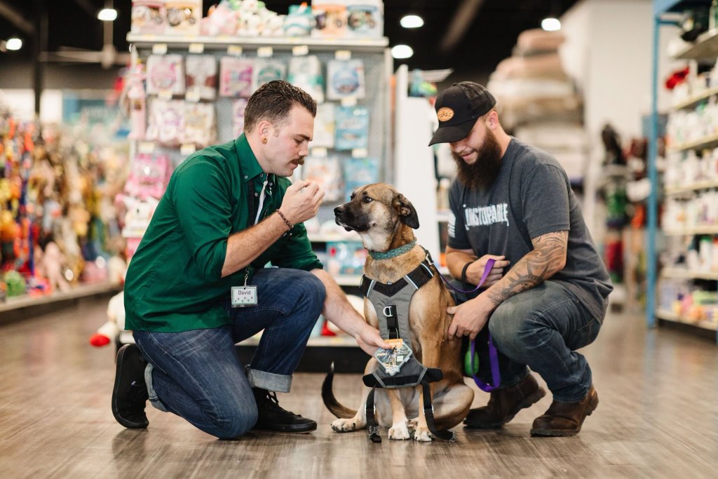 two men leaning down with a dog wearing a harness
