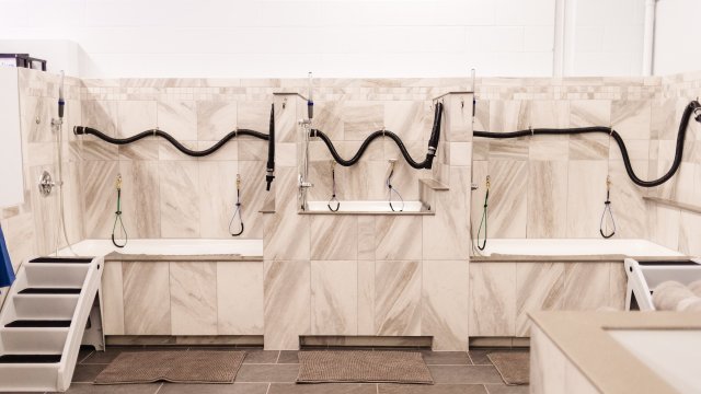 Pet grooming station with multiple tubs